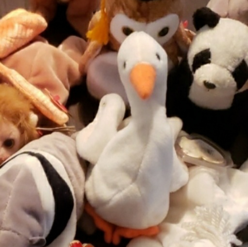 Swan beanie baby